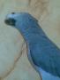   apu_reemas