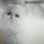   Reeny..}