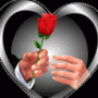 ������ ������� fara